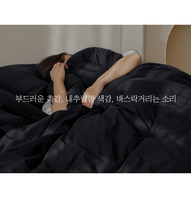 레이아웃1