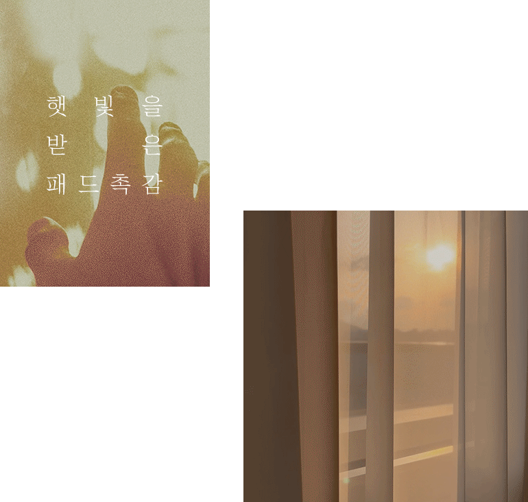 gif-공통