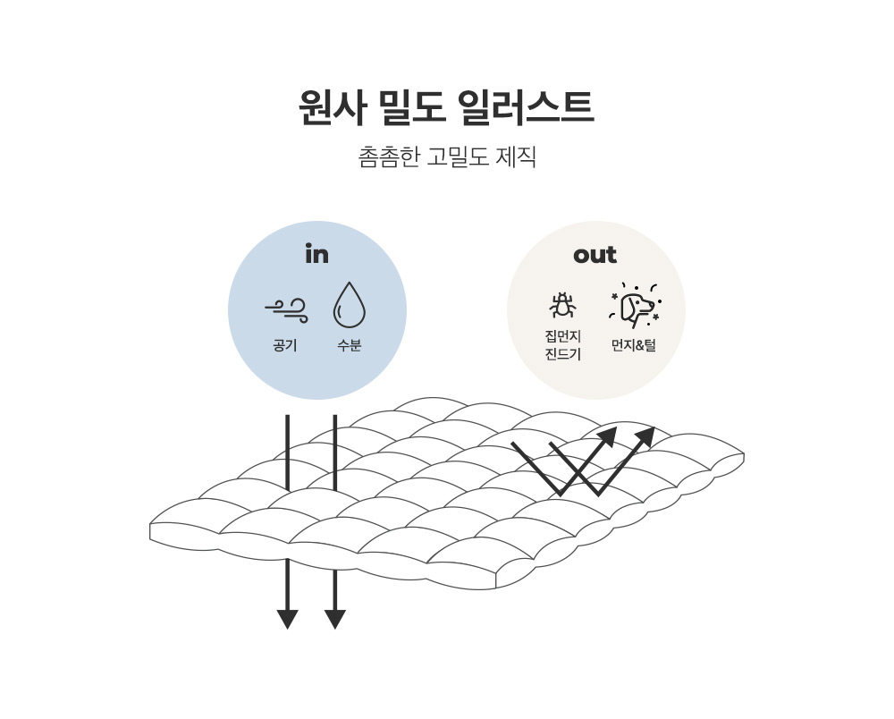 진드기-공통