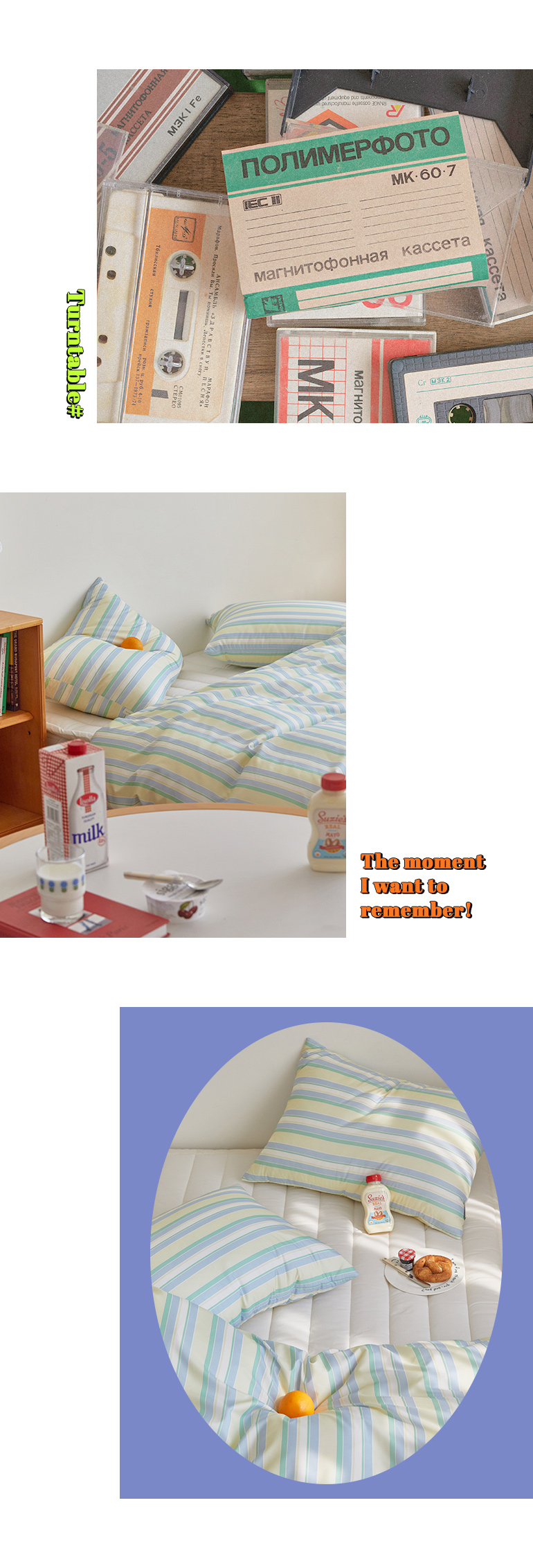 레이아웃