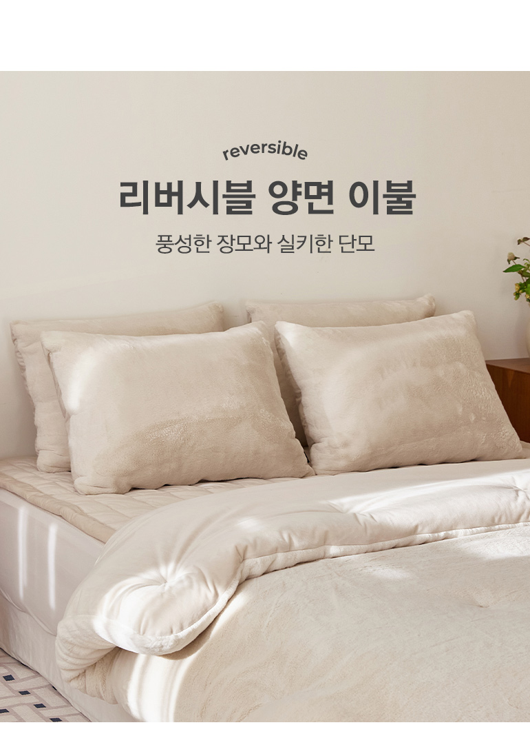 양면내용