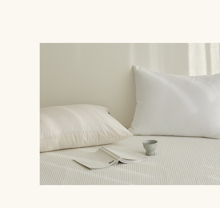 인트로-레이아웃