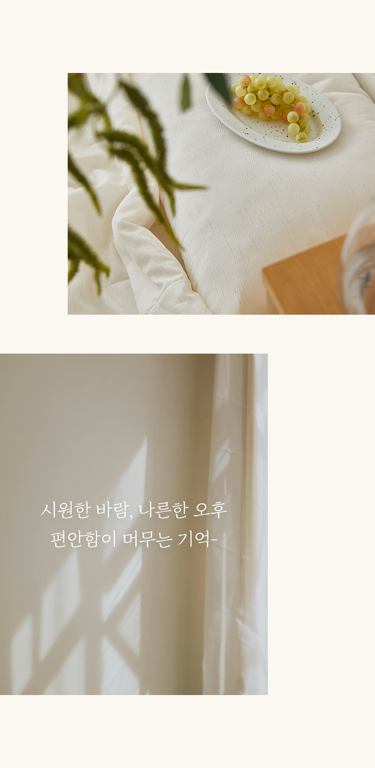 레이아웃