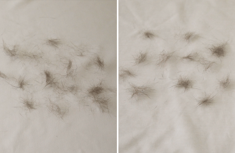 Åг¯¸² gif-°øÅë