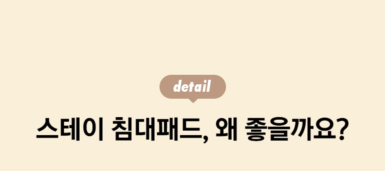 디테일 타이틀
