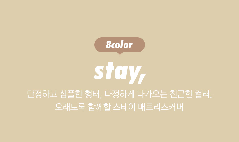 컬러-공통