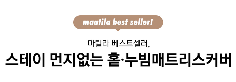 타이틀
