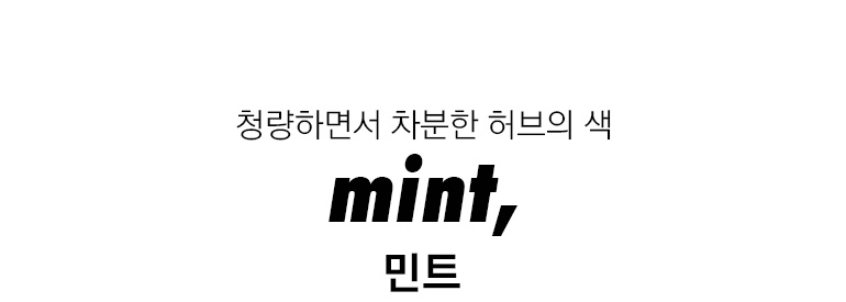 민트