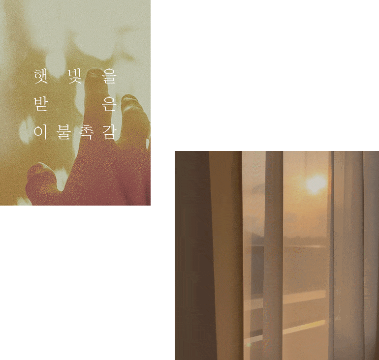 gif-공통