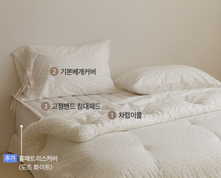 ¼ÒÀç¹×»ö»ó-À̹ÌÁö