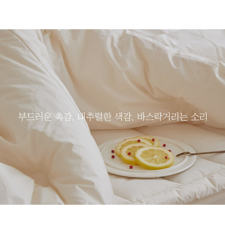 레이아웃1