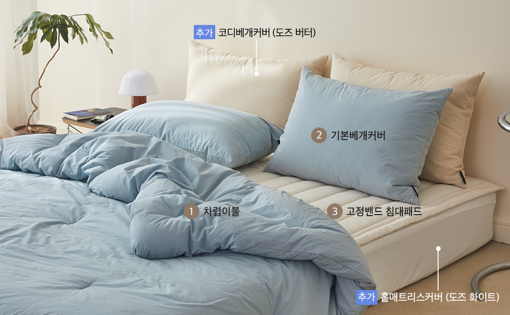 ¼ÒÀç¹×»ö»ó-À̹ÌÁö