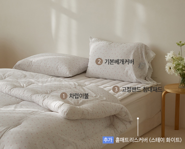 ¼ÒÀç¹×»ö»ó-À̹ÌÁö