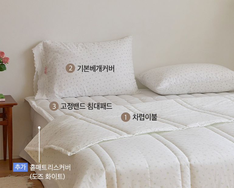 ¼ÒÀç¹×»ö»ó-À̹ÌÁö