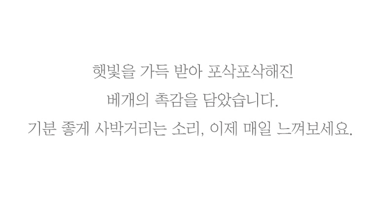 텍스트