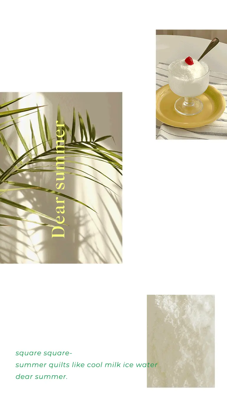 ��Ʈ��-����