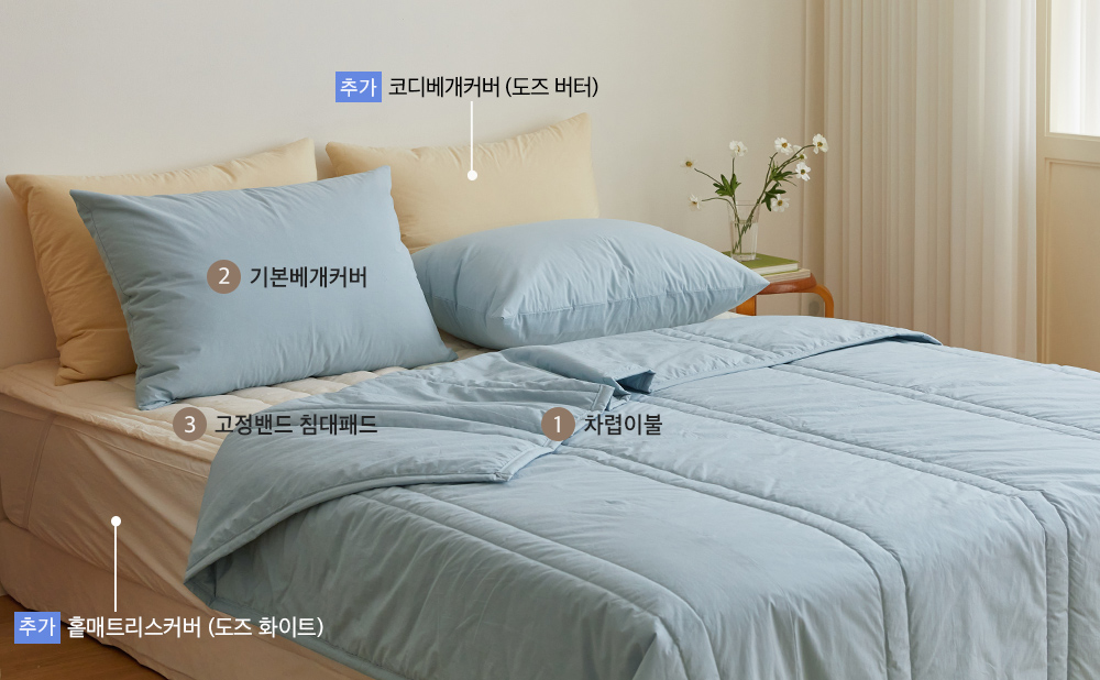 ¼ÒÀç¹×»ö»ó-À̹ÌÁö