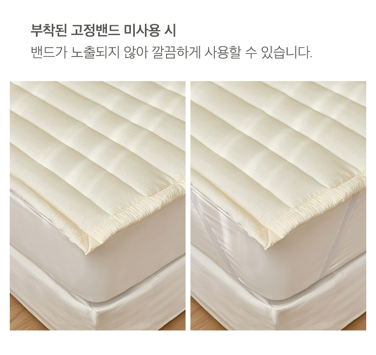 밴드