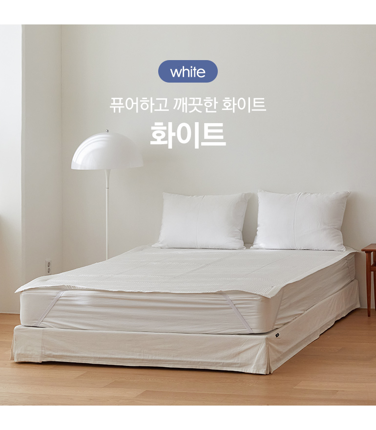 화이트