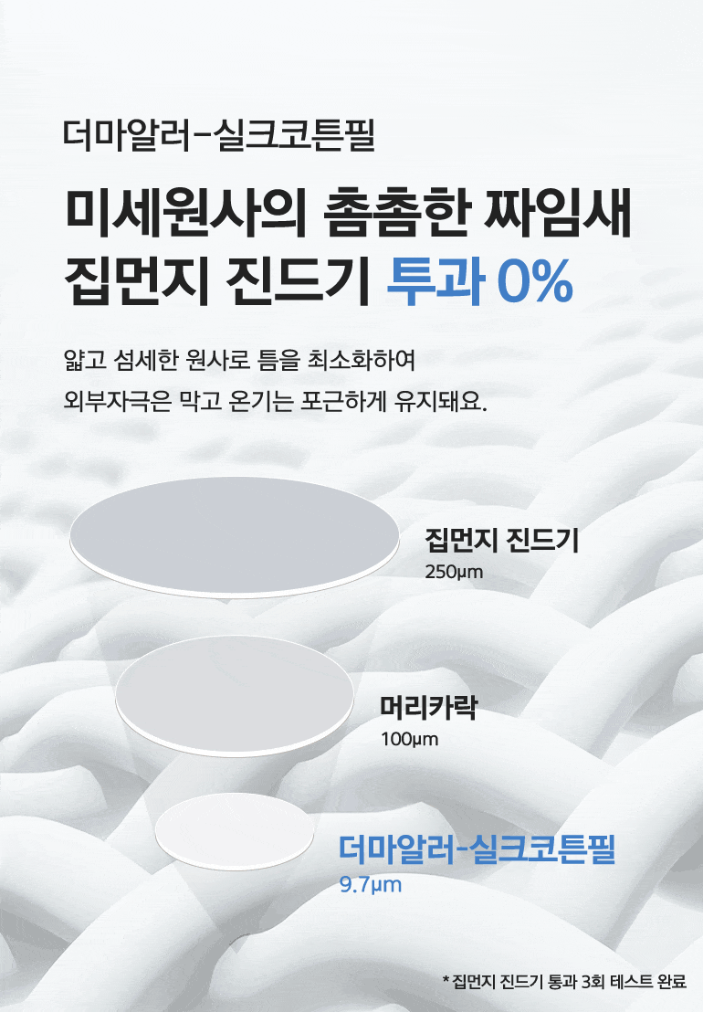 진드기