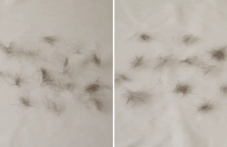 털날림 gif