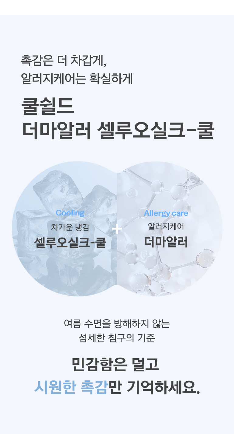 타이틀