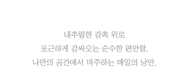 텍스트