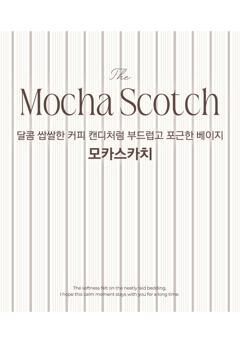 컬러명-사계절공통