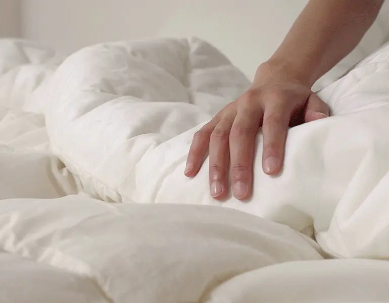 극세사-gif-공통