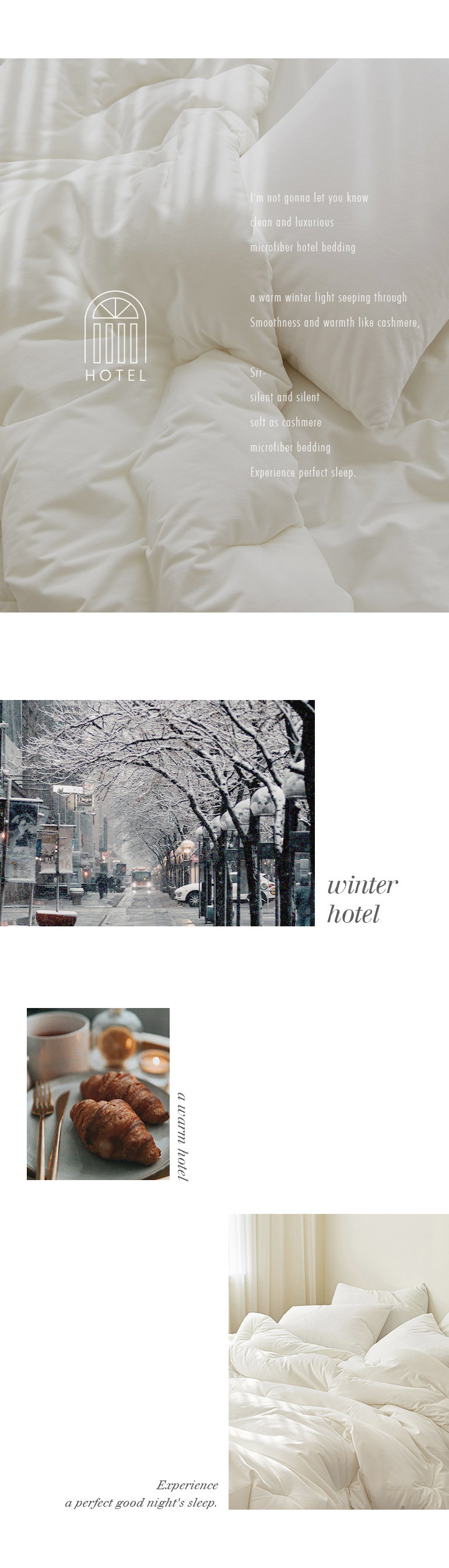 레이아웃