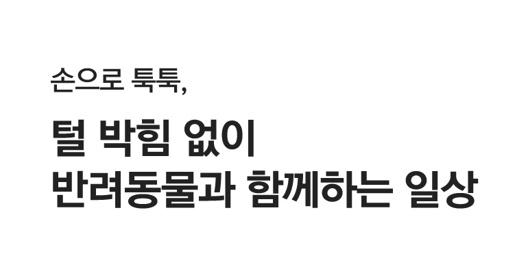 털날림 타이틀