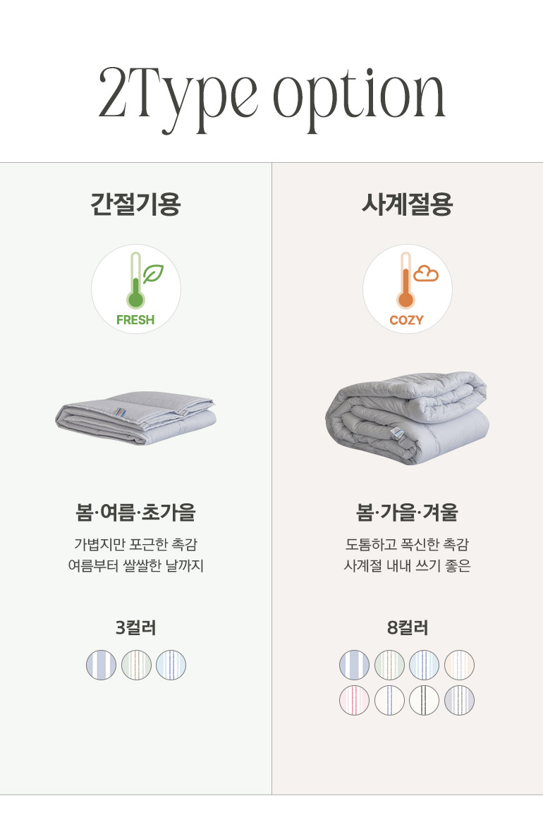타입옵션