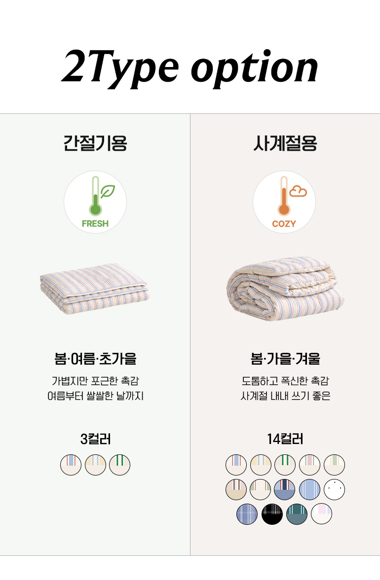 타입옵션