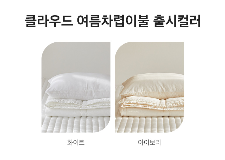 출시컬러
