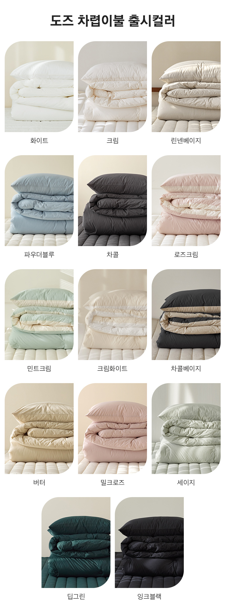 출시컬러