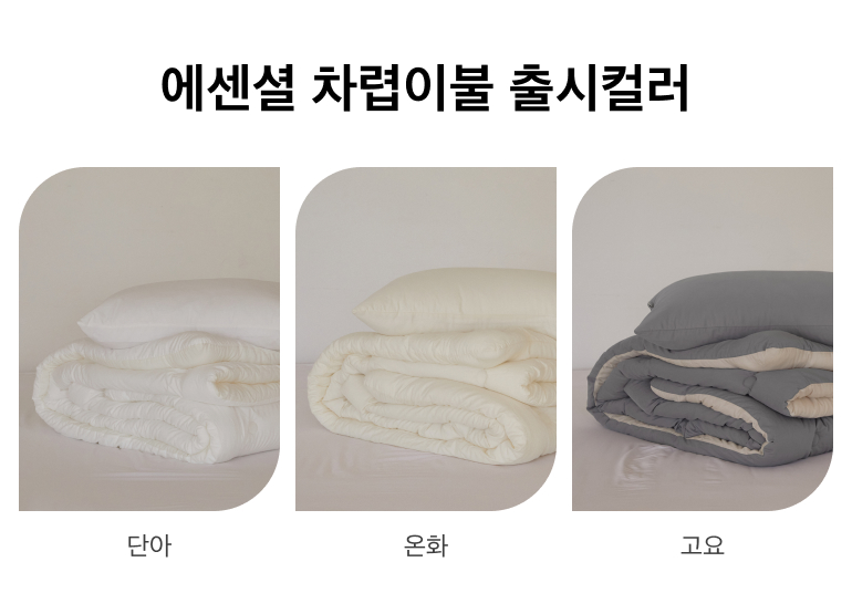 출시컬러
