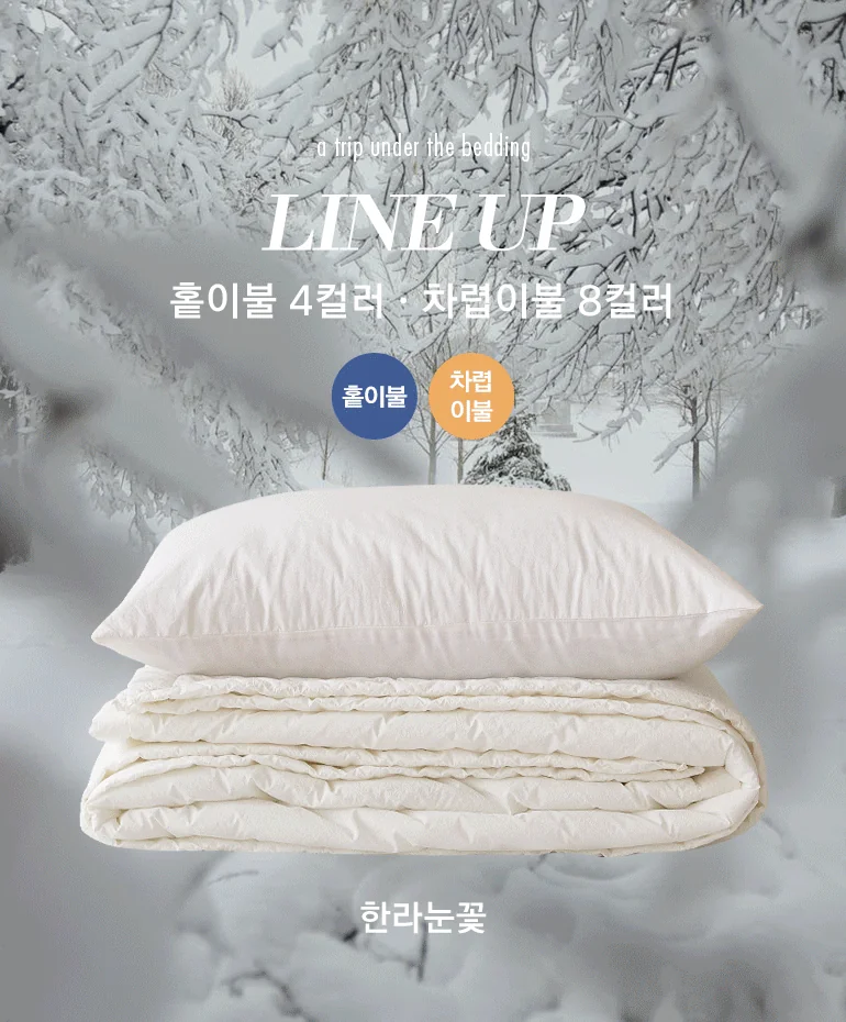 라인업