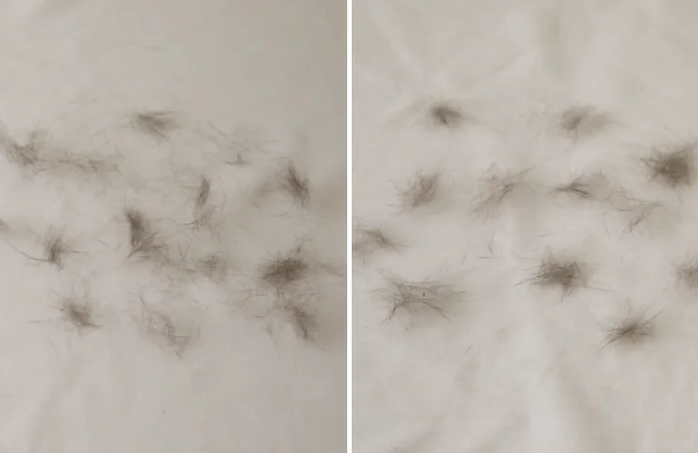 Åг¯¸² gif-Â÷·Æ°øÅë