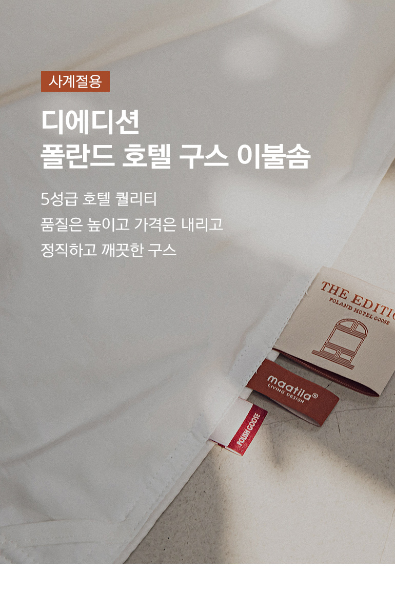 타이틀