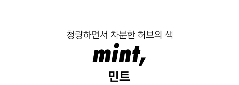 민트