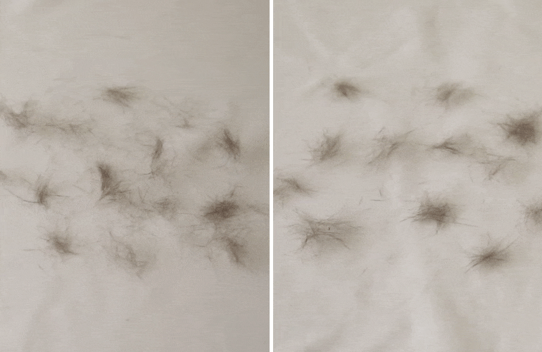 털날림 gif-공통